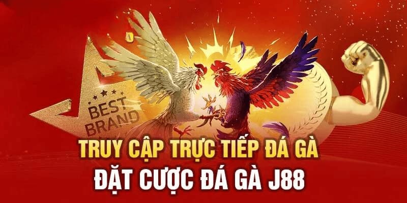 Đá gà J88 phát trực tiếp các trận đấu full HD